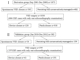 Flow Chart Of The Two Patient Groups For Establishment Of A