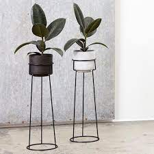 A Plant Stand Plant Stand House Plants Decor Tall Potted Plants