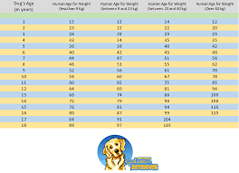Dog Age Chart How To Convert Dogs Age Into Human Years