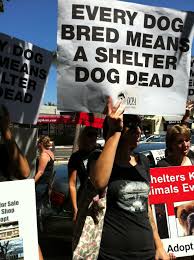 Pin By Natalie Monson On Passionate Heart Every Dog Breed Pets Pet Store