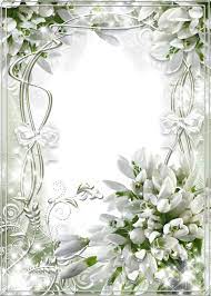 Beautiful White Soft Transparent Frame With Snowdrops Sfondo Di Carta Collage Di Foto Cornice Di Fiori