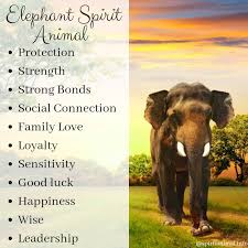 Ultimate Guide To Spirit Animals Power Animals Totems Elephant Spirit Animal Elephant Quotes Elephant