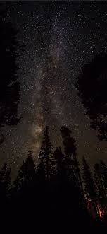 Silhouette Of Pine Trees Under Clear Night Sky Nature Space Outerspace Grey Tree Iphonexwallpa Clear Night Sky Tree Wallpaper Phone Tree Wallpaper Iphone