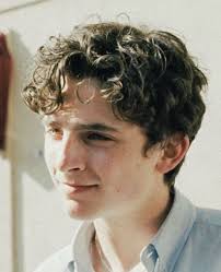 Pin By Brynna Seay On Timmy Timothee Chalamet Celebrities Male Celebrities