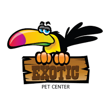 Want to be your all bird pet store and will work very hard to earn your business and support. Exotic Pets Online Buy Exotic Pet Online Cheap Exotic Pet Worldwide