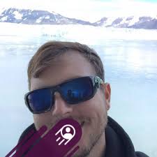 What conifers are most used for root stock?