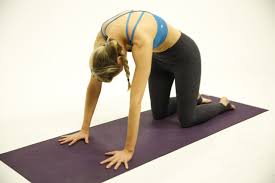 So it relaxes both mind and body. How To Do Cat Pose Brett Larkin Yoga