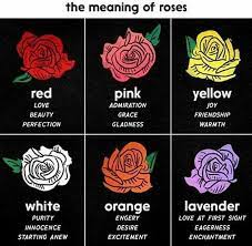 This is good news for all concerned; Pin By Mightymike On Symbolic Tattoo Trends Rose Meaning Flower Meanings Red And Pink