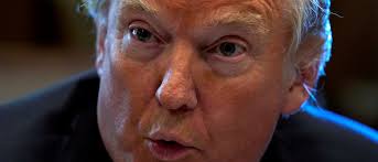 Inclusion Project' At College Features Poster Of Trump Next To Dead Child