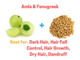 Heat 1/2 kg of coconut oil in a saucepan. Amla Powder For Hair Growth