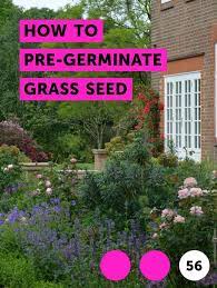 Learn How To Pre Germinate Grass Seed How To Guides Tips And Tricks Planting Grass Grass Seed Grass Fertilizer