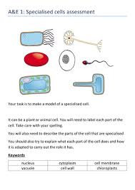 Check spelling or type a new query. Life Without Levels Written Assessments For Ks3 Year 7 Teaching Resources