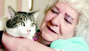 Too old" to keep rescue cat