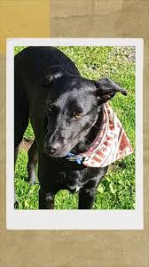 Deborah Currie (@hyzuse) • Threads, Say more