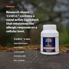 Image result for Funtumia