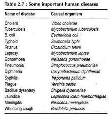 Name All Types Of Microorganisms And Prepare A Chart For