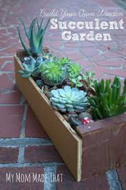 Pin On Succulents And Containers