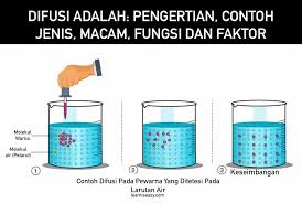Check spelling or type a new query. Difusi Adalah Pengertian Contoh Fungsi Jenis Faktor