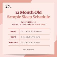 12-Month-Old Baby: Feeding, Sleep, and Milestones by Month - Baby Chick