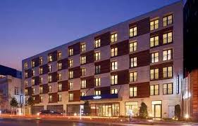 Istanbul Da Hayvan Dostu 10 Otel Turizm Gunlugu