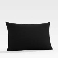 We did not find results for: Sunbrella Canvas Black Outdoor Lumbar Pillow Reviews Crate And Barrel