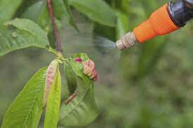We did not find results for: Peach Tree Spray When To Spray Peach Trees For Bugs