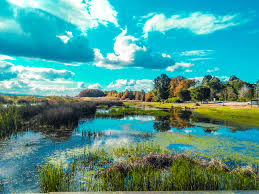 ‫غابة‬‎ ile ilgili görsel sonucu