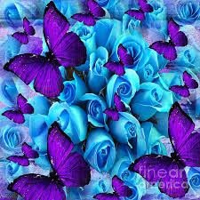 Black And Purple Butterfly Wallpaper Blue Roses And Purple Butterflies Purple Butterfly Wallpaper Purple Butterfly Blue Butterfly Wallpaper