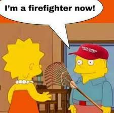 Trump's raking the forest comment lights up social media | Article | Kids  News