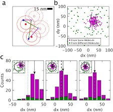 Contoh sk untuk tim pengembang kurikulum (tpk) kop surat resmi ya yang ng digunak digunakan an sekolah. A Mean Shift Algorithm For Drift Correction In Localization Microscopy Biorxiv