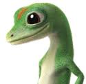 From understanding benefits, coverage and deadlines, you might have a lot of questions. How To Contact Us Customer Service Information Geico