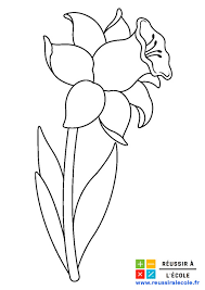 Voir plus d'idées sur le thème dessin facile fille, dessin, dessins faciles. Fleurs Dessin Facile A Faire