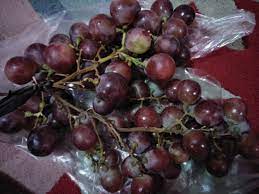 Maybe you would like to learn more about one of these? Heboh Anggur Asal Cina Berformalin Dijual Murah Ini Hasil Uji Lab Bpom Jambi Teras Id