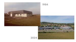 Image result for Gris 1995 Fleet