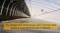 The design of a commercial size Chinese style passive solar greenhouse in  Alberta