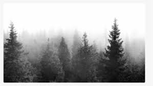 Maybe you would like to learn more about one of these? Trees Tree Forest Background Wallpaper Nature Black Tree Background Png Transparent Png Transparent Png Image Pngitem
