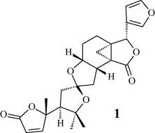 Image result for Ptaeroxylaceae