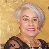 Virginia Buentello Garcia Obituary (2024)