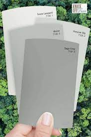 Behr Sage Gray Review Soothe And