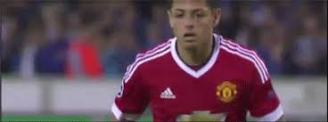 Til, from doing more research about the '95 final, louis van gaal coached danny blind and his son daley blind. Funny Gifs Man Utd Gif Vsgif Com