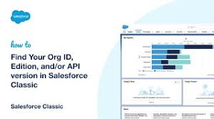 Look up 'salesforce.com organization id'. Find Your Org Id Edition And Or Api Version In Salesforce Classic Youtube