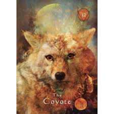 We did not find results for: The Four Winds Society Mystical Shaman Oracle Cards By Alberto Villoldo Colleta Baron Reid Resources From Sacred Essence Uk