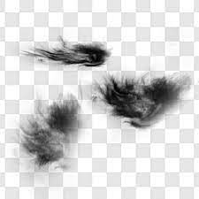 Free Dust Png Images Photoshop Supply Photoshop Photoshop Brushes Free Grunge Textures