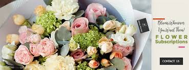 We did not find results for: Flower Subscriptions North Vancouver Florist Willow Florists Same Day Flower Delivery North Vancouver Bc V7g1m9