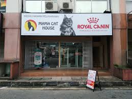 Dapatkan berita terkini mengenai masjid+taman+melawati dan cari tajuk utama berita terkini mengenai masjid+taman+melawati dari astro awani. Mama Cat House Taman Melawati Home Facebook