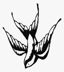 'shawn mendes tattoos stickers set' sticker by shawnxstickers. Shawn Mendes Tattoo Shawn Mendes Tattoo Bird Hd Png Download Kindpng