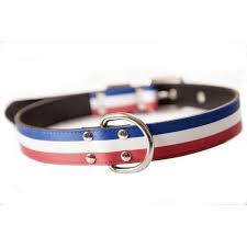 Collier Gun Pour Chien Bleu Blanc Rouge Taille S Truffaut
