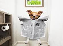 Image result