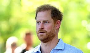 Prince Harry not meeting King Charles for key reason as royals 'close  ranks'
