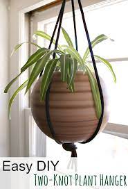 Pin On Plants